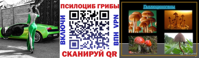 Галлюциногенные грибы GOLDEN TEACHER  Богданович 