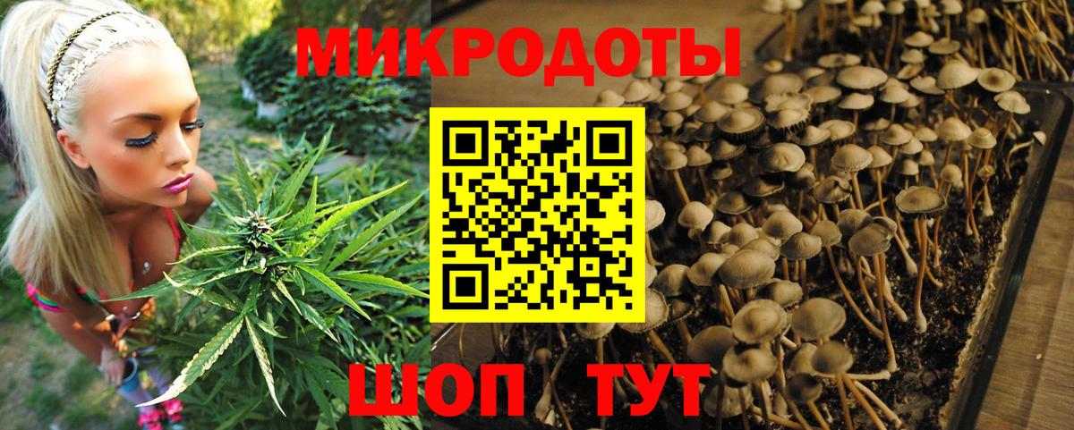 Псилоцибиновые грибы Psilocybine cubensis  Вход с VPN  Богданович  Галлюциногенные грибы Magic Shrooms 